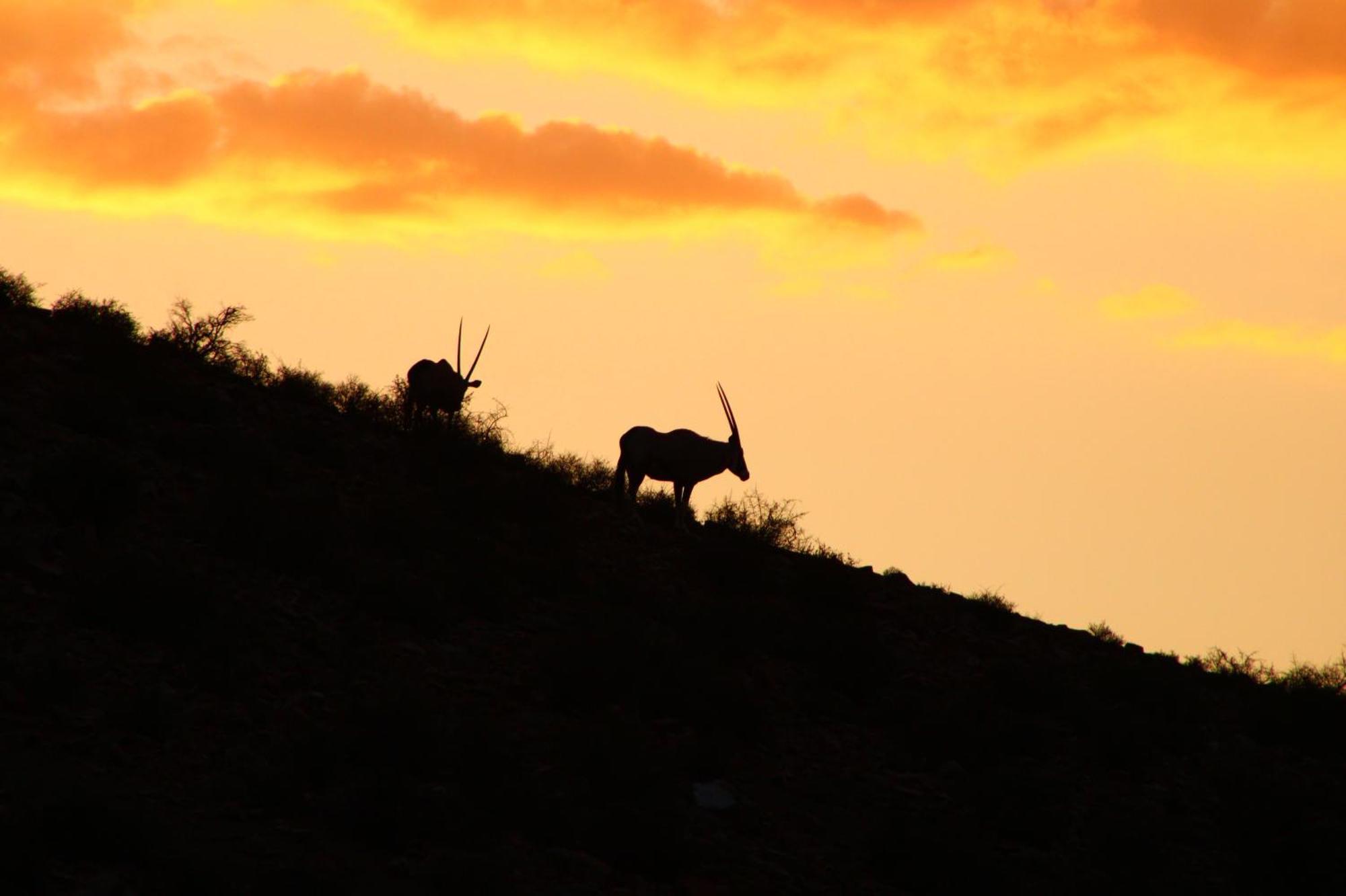 Bosch Luys Kloof Nature Reserve Ladismith Exteriör bild