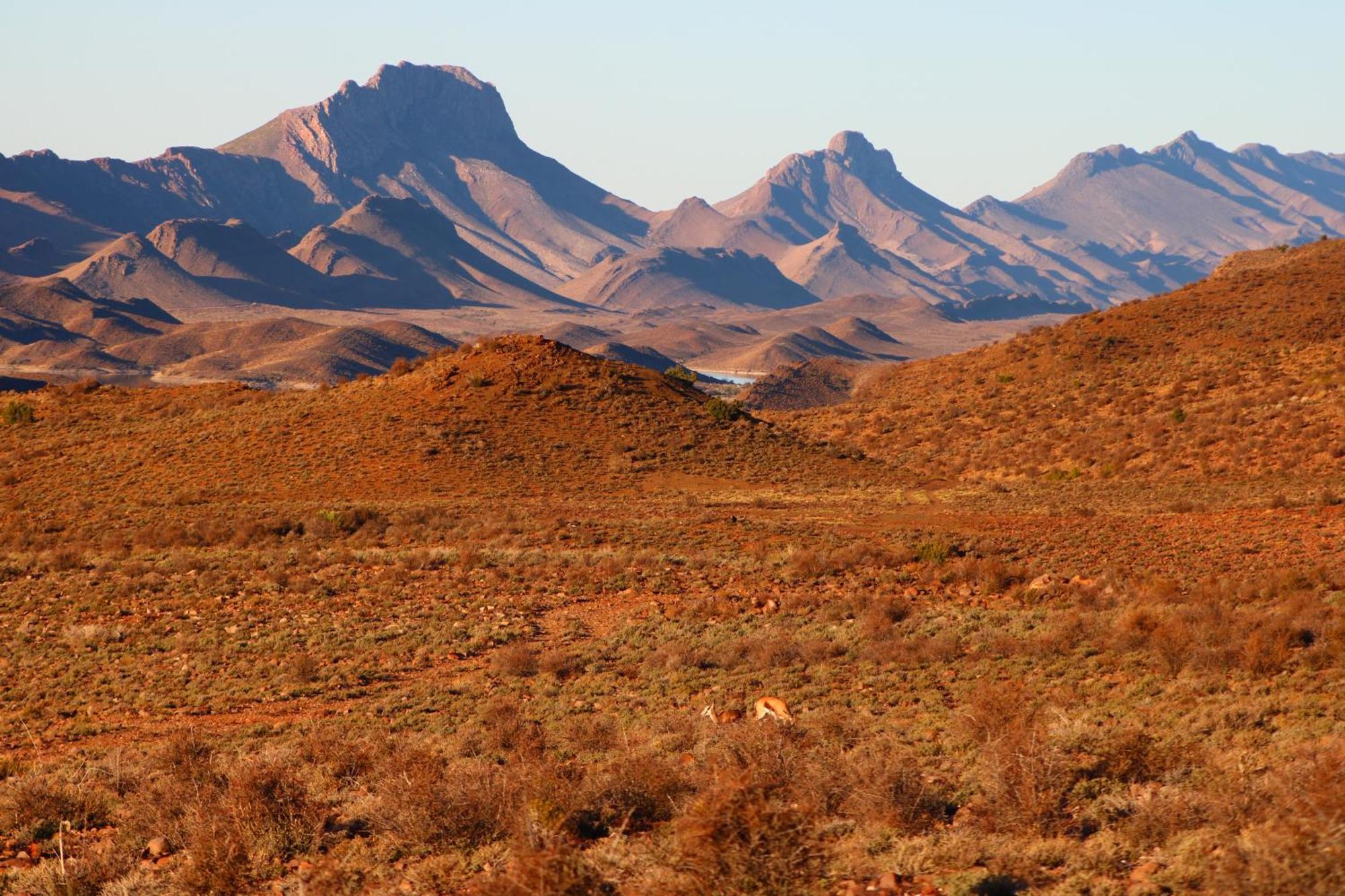Bosch Luys Kloof Nature Reserve Ladismith Exteriör bild