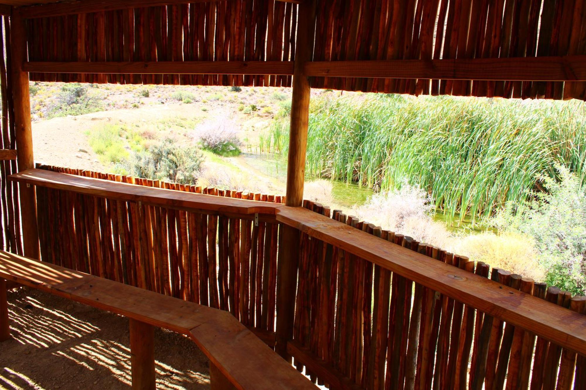 Bosch Luys Kloof Nature Reserve Ladismith Exteriör bild