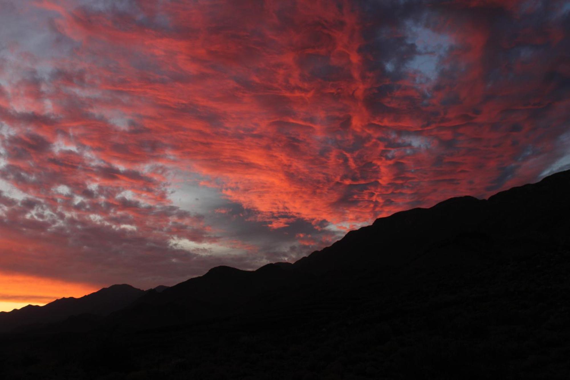 Bosch Luys Kloof Nature Reserve Ladismith Exteriör bild